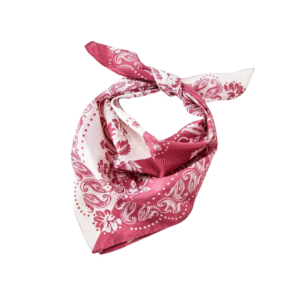 Western Paisley Pink Scarf