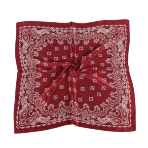 Pañuelo - Burgundy Paisley