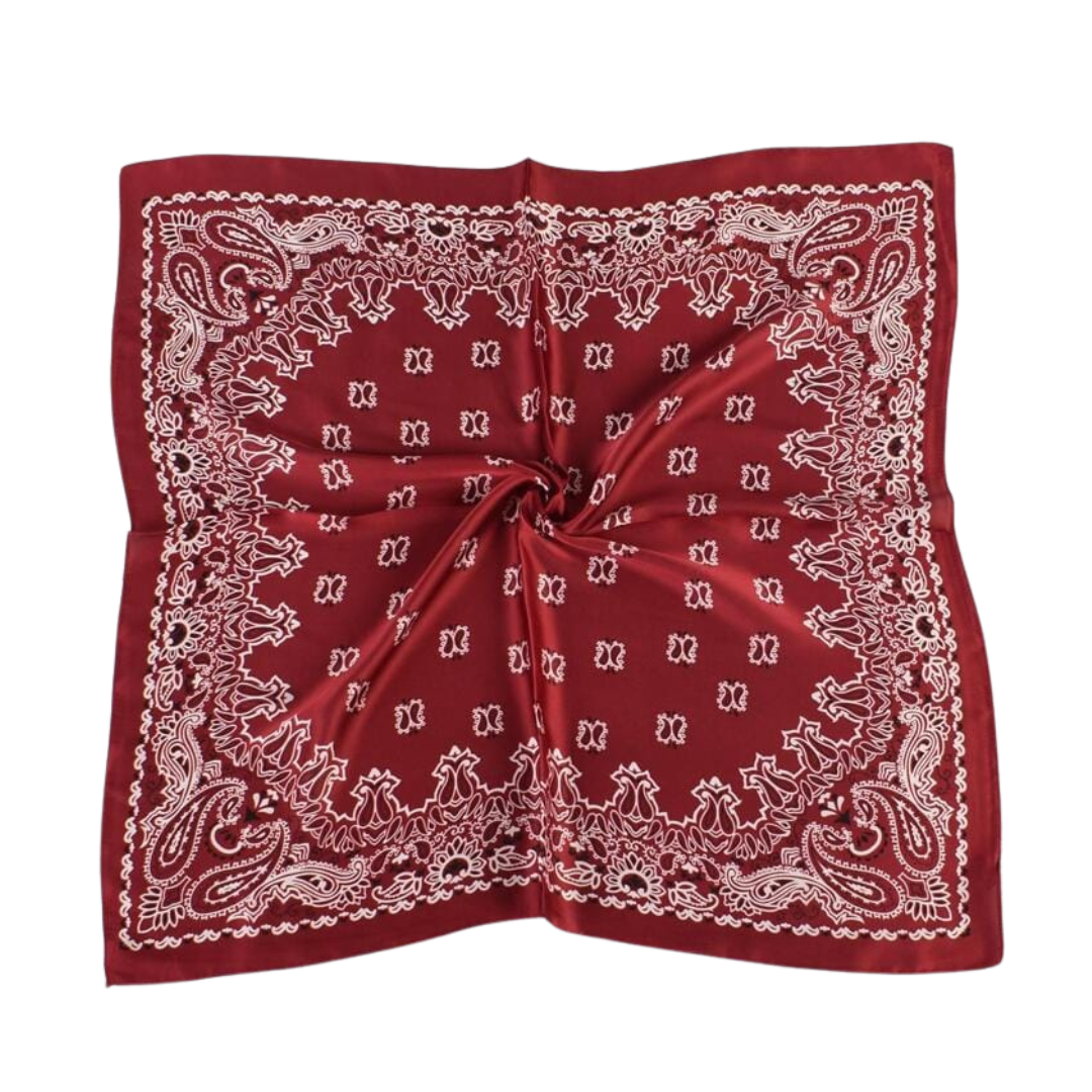Pañuelo - Burgundy Paisley